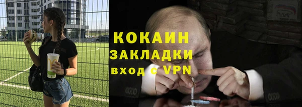 мет Бородино