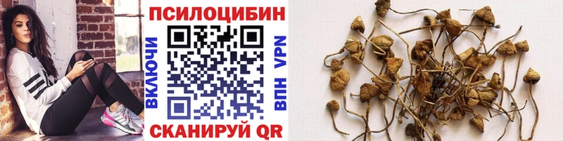 Галлюциногенные грибы мицелий  Заинск 